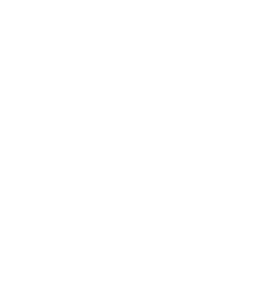 map-icon
